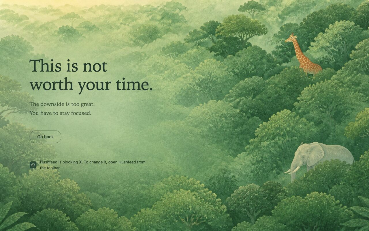 The Canopy theme: a misty forest behind the words This is not worth your time.